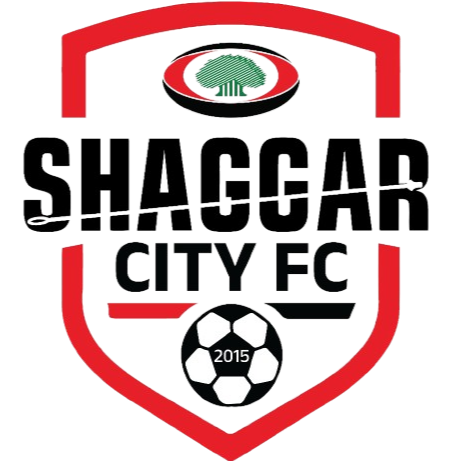 谢格尔女足 队徽