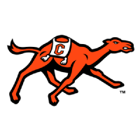 坎贝尔大学 队徽